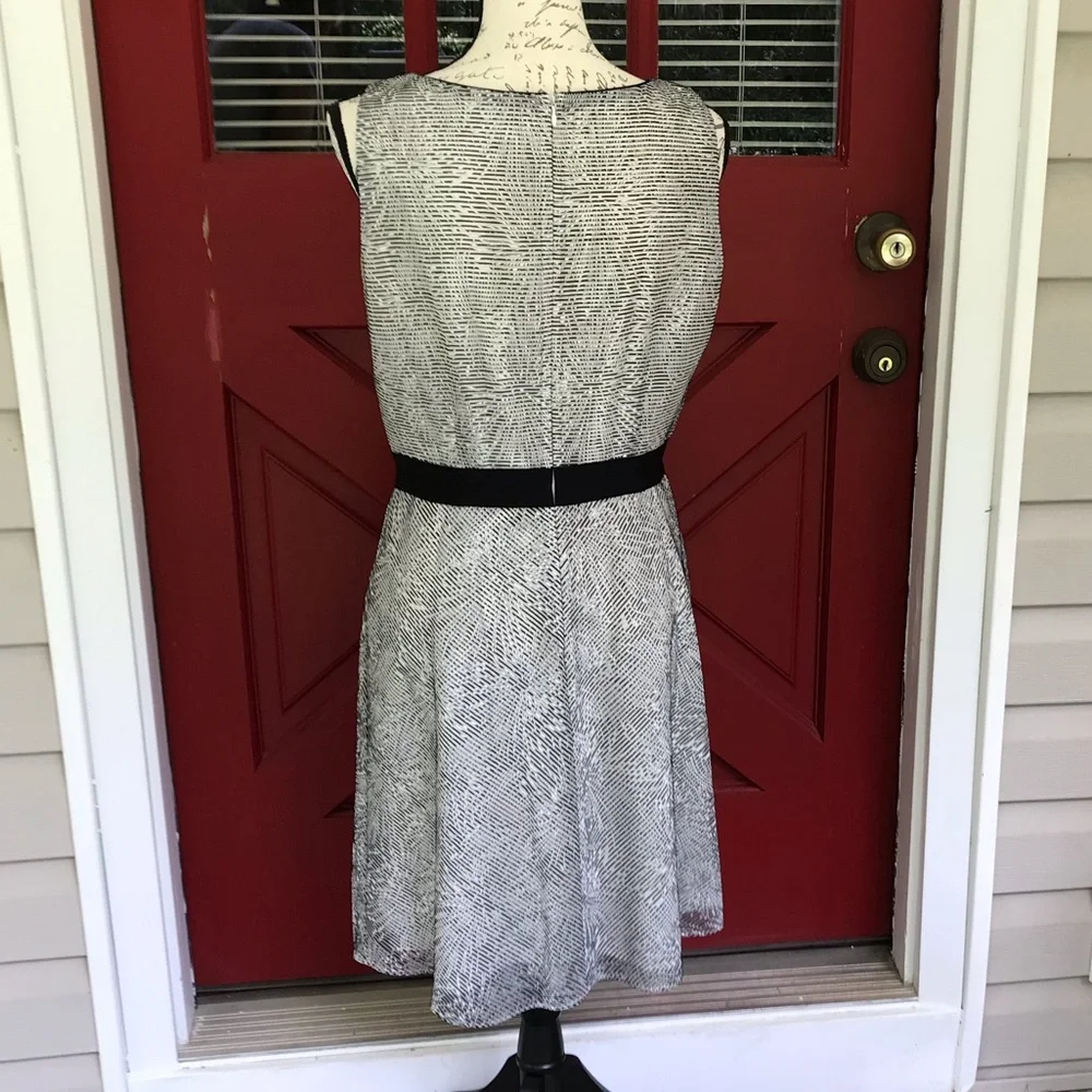 Antonio Melani Sleeveless Black White Lined Grosgrain Waist Shift Dress Size 8 - Picture 3 of 13